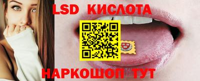 гидра Будённовск